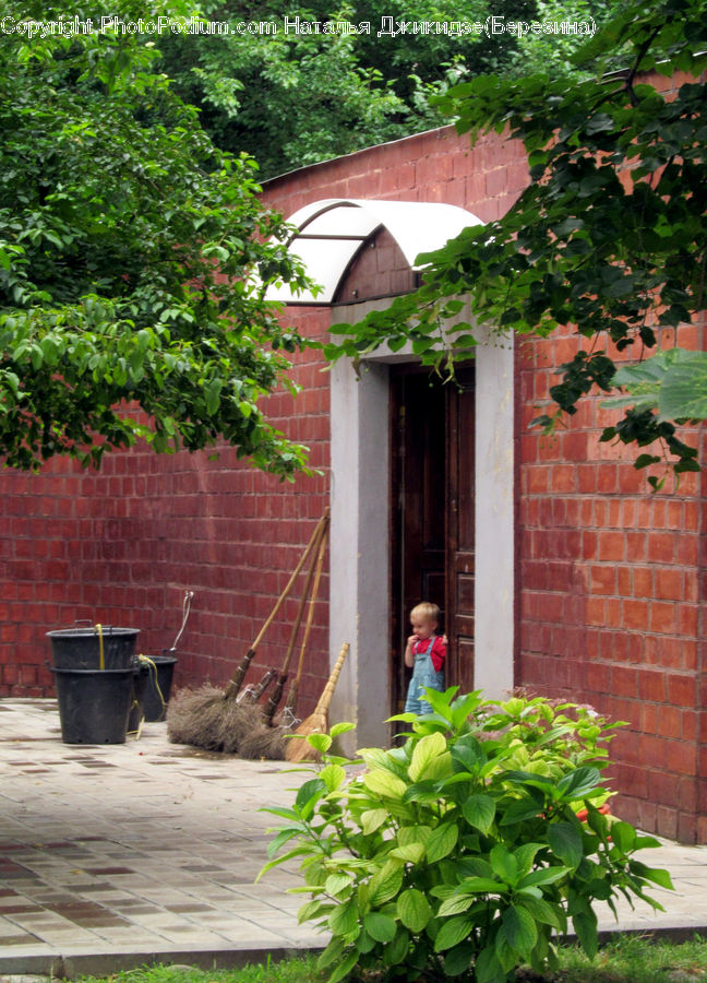 Brick, Ivy, Plant, Vine, Building, Cottage, Housing