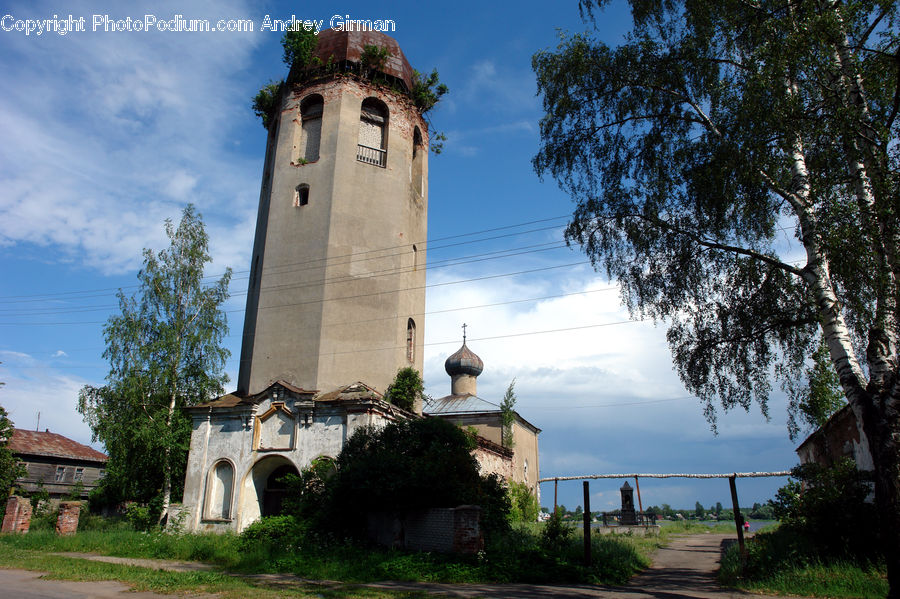 Architecture, Bell Tower, Clock Tower, Tower, Plant, Tree, Building