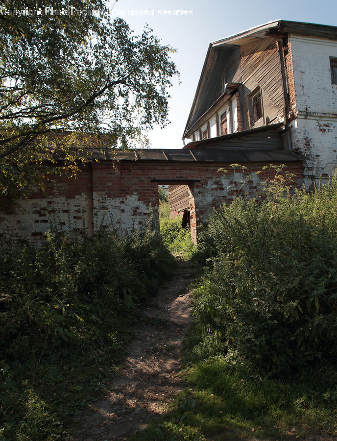Building, Cottage, Housing, Dirt Road, Gravel, Road, Cabin