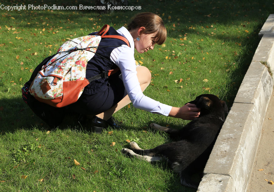 People, Person, Human, Animal, Bear, Black Bear, Mammal