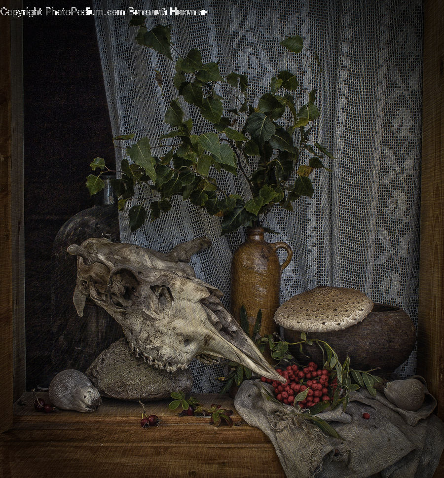 Cannon, Mortar, Weaponry, Ivy, Plant, Vine, Art