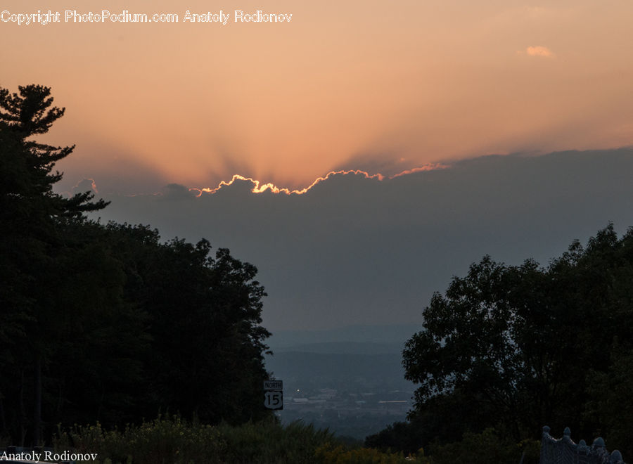 Dawn, Dusk, Sky, Sunrise, Sunset, Conifer, Fir