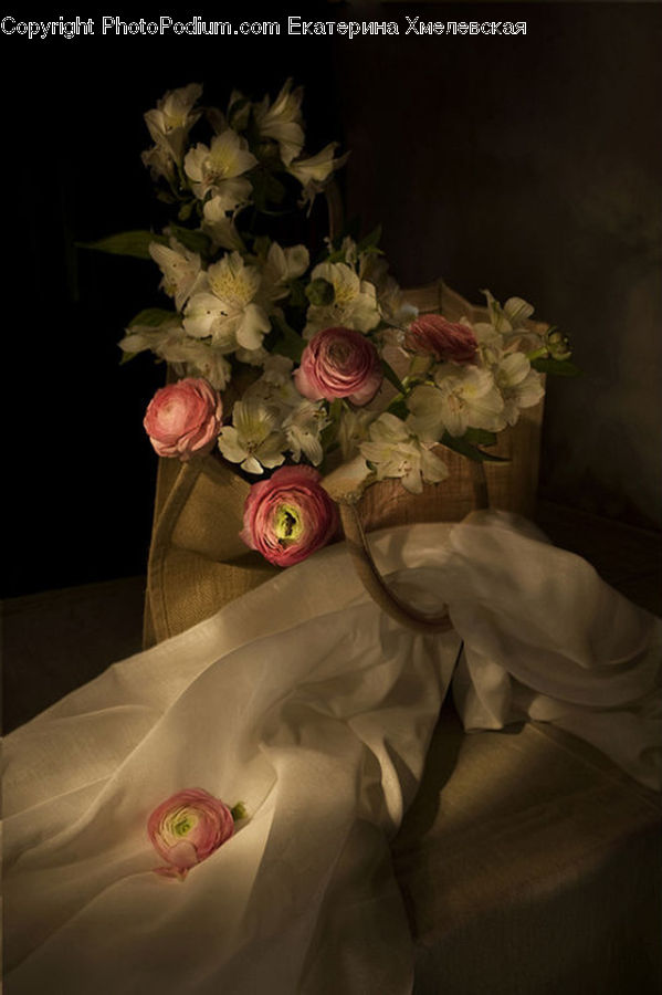 Blossom, Flower, Plant, Rose, Flower Arrangement, Flower Bouquet, Potted Plant