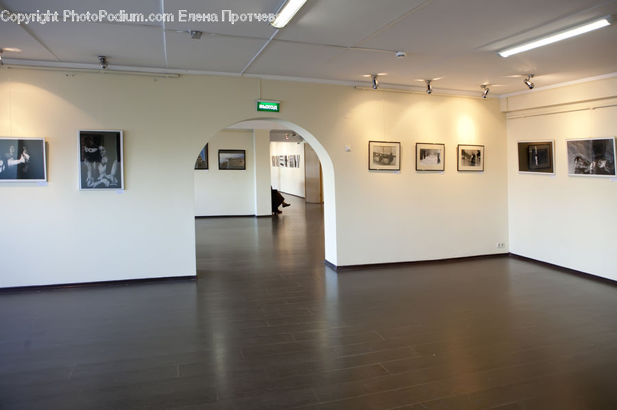 Art, Art Gallery, Floor, Flooring, Hardwood, Wood, Indoors