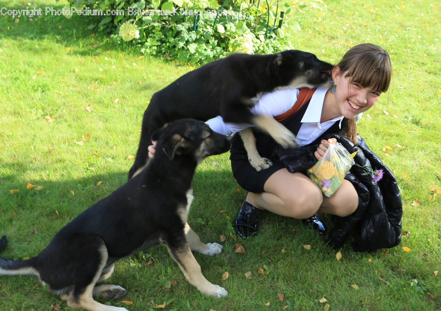 People, Person, Human, Animal, Canine, Dog, Mammal