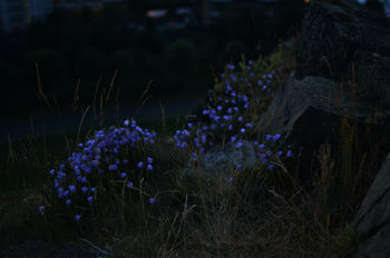 Edinburgh