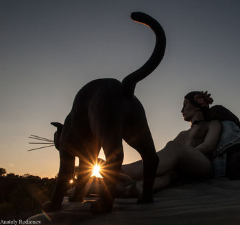 Sunset cat an Ground for Sculputers