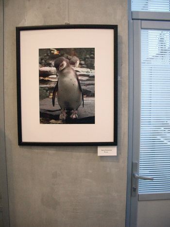 Часть "PhotoPodium.соm представляет.. ОКНО В МИР в Москве" Репортажи