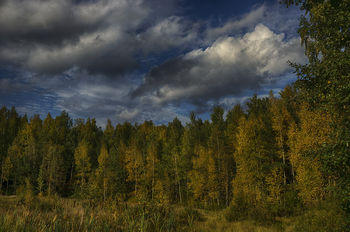 Планета Земля