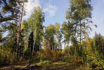 Осень