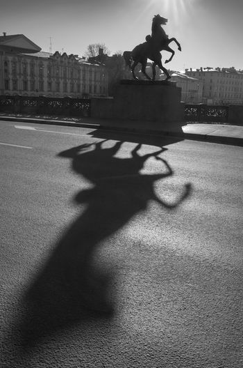 Тени Аничкова моста