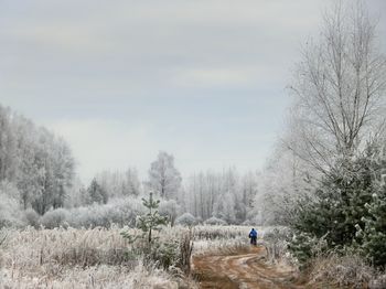 Ноябрь 2014