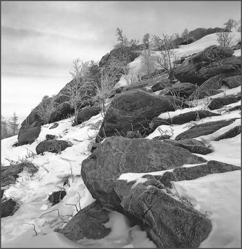 Каменный склон/Stone slope
