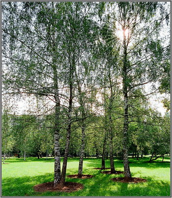 Весенний мотив