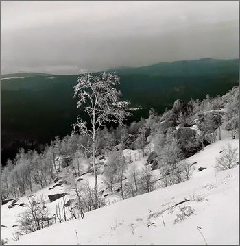 Утро