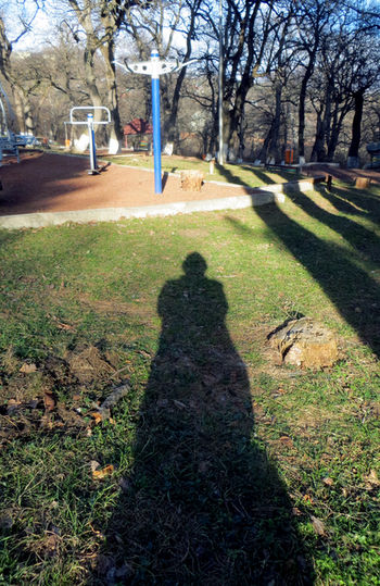 Я памятник воздвиг себе...