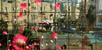 Haifa