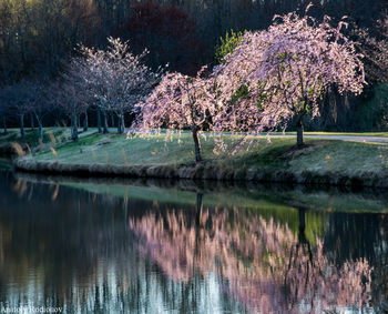 Spring.