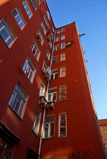 Городские джунгли