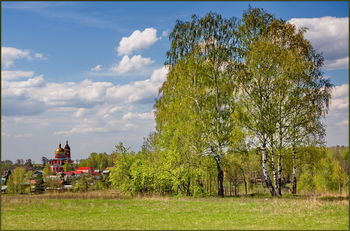 На опушке леса.