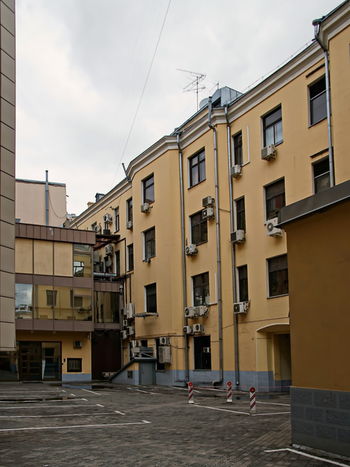Городскими джунглями