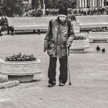 И только голуби...