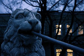 Вечер на канале Грибоедова