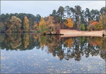 уж падают листья