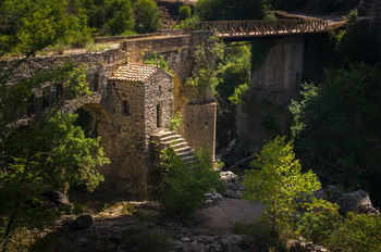 Каритена