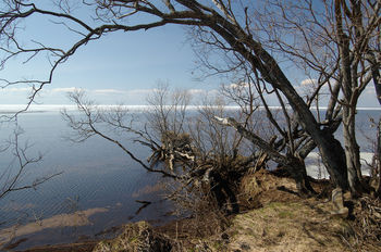 оз.Белое