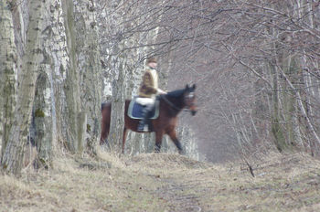 Случайная встреча