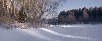 Черная речка