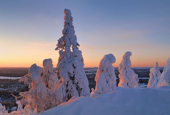 "Паломники"
