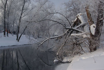 на Десне.