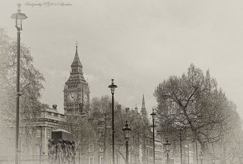 The view from Whitehall