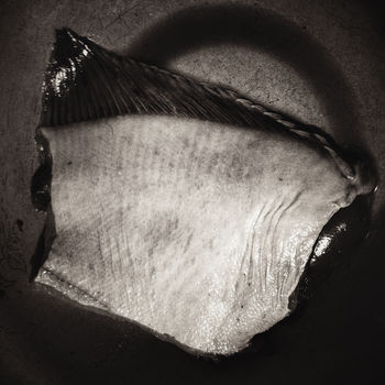 to swim, "Kitchen" series