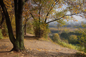 Краски осени.