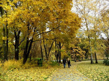 Осень