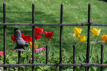 Spring