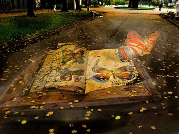 Осень звенит отголоском прощальным
