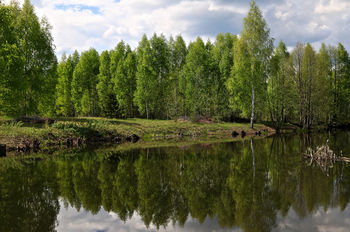 зеркало весны