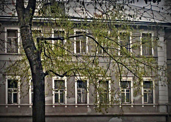 Новая весна (центр Москвы)