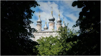 Без названия