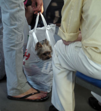 Покупка