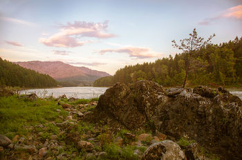 Катунь