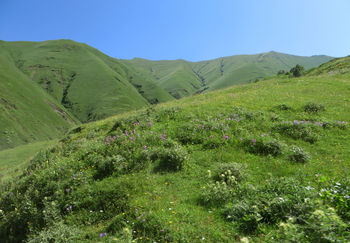 Хевсурети