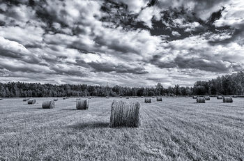 field