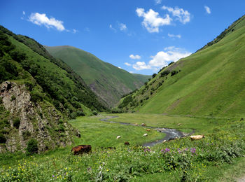 Хевсурети
