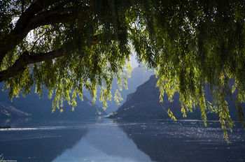 Willow Beach