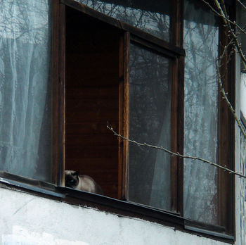 Охотник